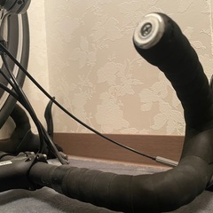 MOMENTUM バイク（自転車）の画像
