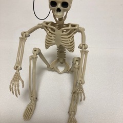 新品　ハロウィン　スケルトン　37cm 関節可動　オブジェの画像