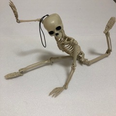 新品　ハロウィン　スケルトン　37cm 関節可動　オブジェの画像
