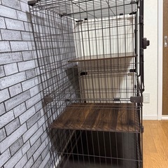 猫 ゲージ 3段の画像