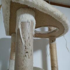 キャットタワーの画像