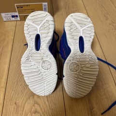 バスケットボールシューズ19cm
の画像