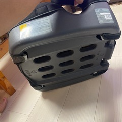 ジュニアシートの画像