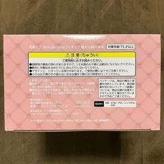 初音ミク　フィギュア　眠れる森の美女の画像