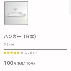 生活雑貨　ハンガー　大量　100均　プラスチックの画像