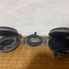 高そうなCtoAケーブルの画像