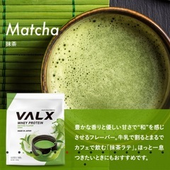 【新品】 VALX ホエイプロテイン 抹茶風味 420gの画像