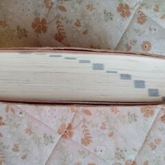 中古 国語辞典の画像