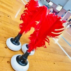 🏸インディアカ🏸 してみたい人✨