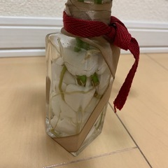 モンステラマドカズラの画像