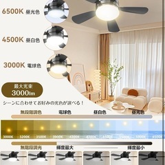 新品未使用品 シーリングファンライト 6-8畳 (リモコン・角型引掛けソケット付き)の画像