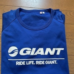 GIANTジャイアント　UNIQLOＴシャツLサイズの画像