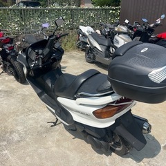 sg03j マジェスティ250 激安早い者勝ち‼️の画像