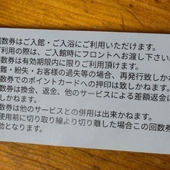 天然温泉 龍泉の湯 回数券10枚綴り　2026年4月30日までスーパー銭湯　成田　千葉の画像
