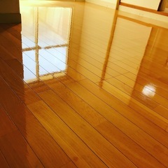 ハウスクリーニング - 地元のお店