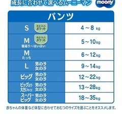 ムーニーパンツBIG4パック176枚の画像