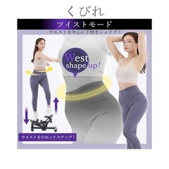 オアシスステッパーの画像