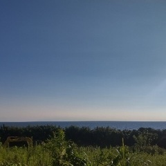 【九州〜関西のアーティスト募集】あなたの作品を鹿児島で！カフェ仕様のガレージ壁をキャンバスに✨ - その他