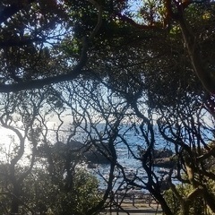 【九州〜関西のアーティスト募集】あなたの作品を鹿児島で！カ…