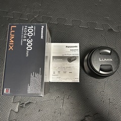 Panasonic LUMIX DC-G100DK + LUMIX G VARIO 100-300mm H-FSA セット（バラ売り可） の画像