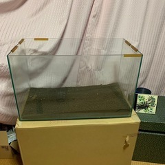 問合せ多数❗️受付終了　水槽の画像