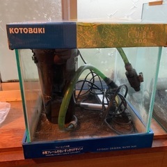 問合せ多数❗️受付終了　水槽の画像