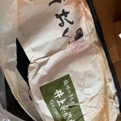 着物の画像