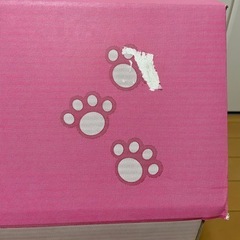 【お譲りします】段ボール製キャットハウスの画像
