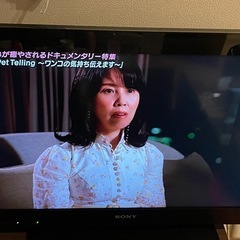 SONY 液晶TV 32型　の画像