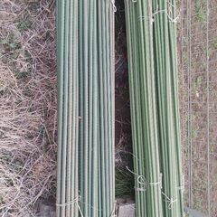 園芸支柱　　の画像
