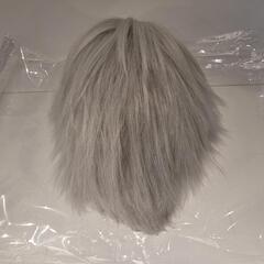 メンズウィッグ ホワイトの画像