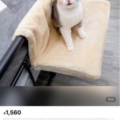 猫用ハンモックの画像