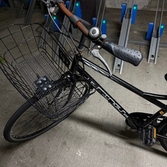 お譲り先決定しました。の画像