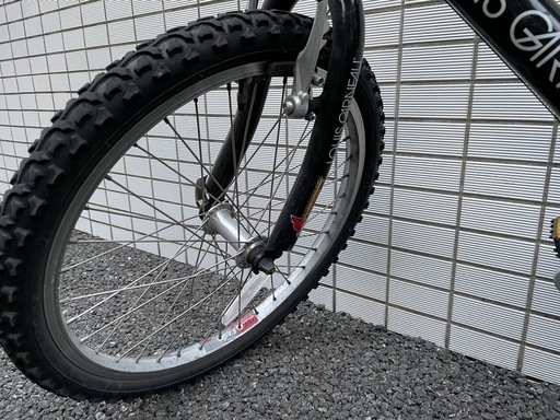 LOUIS GARNEAU 子供用自転車 20インチ