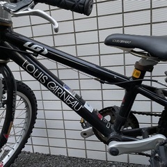 LOUIS GARNEAU 子供用自転車 20インチの画像