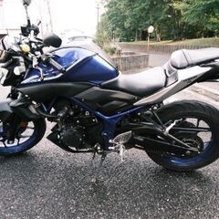 YZF-R25の画像