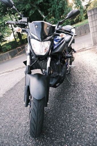 ヤマハ YZF-R25