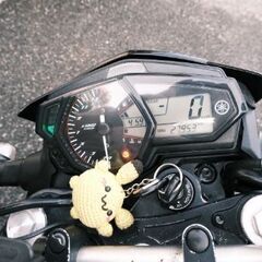 YZF-R25の画像