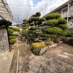 庭石の画像
