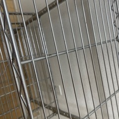 【本日のみ】スチールラックあげますの画像