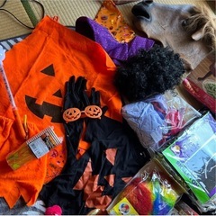 ハロウィン仮装衣装の画像