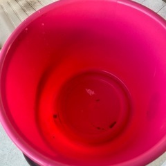 ピンク色のバケツの画像