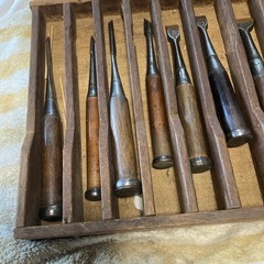 追入ノミの画像