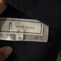 ロペピクニックワンピースの画像