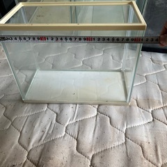 水槽の画像