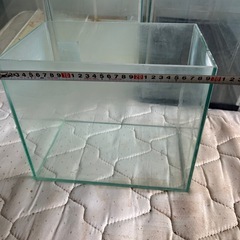 水槽の画像