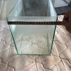 水槽の画像