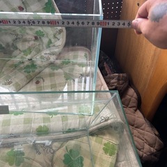 水槽の画像