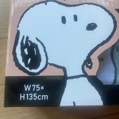 SNOOPYひんやりブランケット②の画像