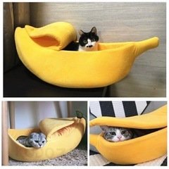 【お取り引き決まりました】ペット寝袋の画像